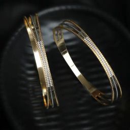 Priyaasi Dual Toned Elegantly Designed Bangles - Set of 2-46