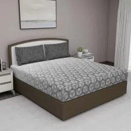 GM Charcoal Grey 100% Cotton 180 TC Queen Bedsheet Set-image-83
