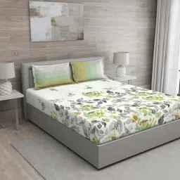 GM White & Green 100% Cotton 144 TC Queen Bedsheet Set-image-14