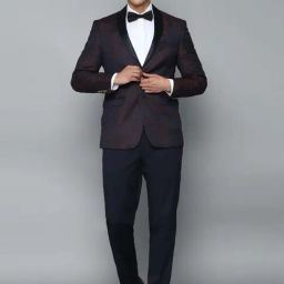 Allen Solly Navy & Maroon Slim Fit Printed Two Piece Suits-picture-15