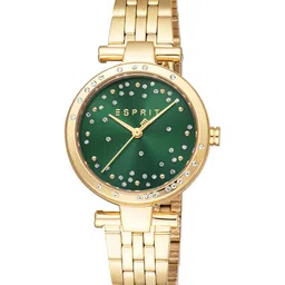 ESPRIT Women Embellished Dial & Stainless Steel Straps Analogue Watch ES1L426M0035-picture-45