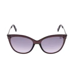 Gio Collection GL5062C02 Grey Cat Eye Sunglasses-37