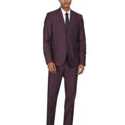 Arrow Purple Regular Fit Two Piece Suit-image-25