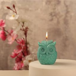 Parkash Candles Premium Owl  Midnight Scented Candle - Green-20