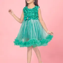 BAESD Net Fit & Flare Dress-image-72