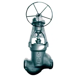 Leader CCS 054 Cast Carbon Steel J Globe Valve 50 mm Class - 2500-image-28