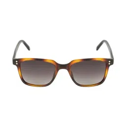 Opium Brown Wayfarer Polarized Sunglasses for Men-10