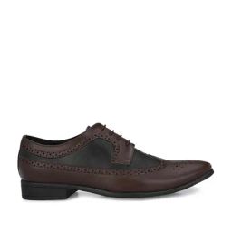 El Paso Men's Brown Brogue Shoes-image-94