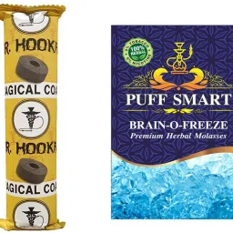 Brain-o-freeze with 1 Polo Quick Light Charcoal ( 10 disk) Hookah Charcoals-image-13