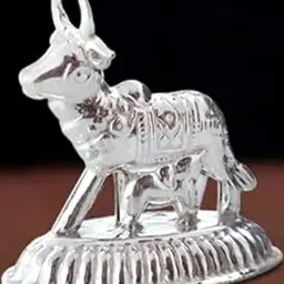 ASTRO-D Unisex Silver Showpieces-picture-43