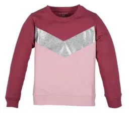 Plum Tree Kids Wine Embellished  Sweatshirt-image-78