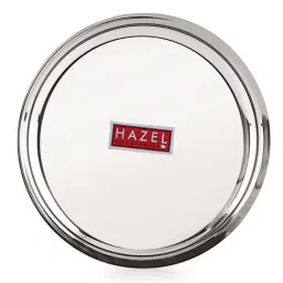 HAZEL Silver Stainless Steel 25 cm Medium Thali - Set of 1-9