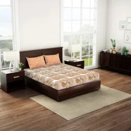 Spaces Peach Cotton 144 TC Queen Fitted Bedsheet With 2 Pillow Covers-image-53