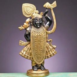 Ekaa Handicrafts Black & Gold Brass Shreenath Ji Standing Murti-image-78