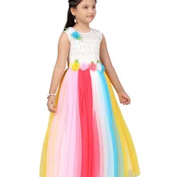 Aarika Net Fit & Flare Maxi Dress image 3