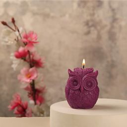 Parkash Candles Premium Owl Winter White Scented Candle - Wine-26