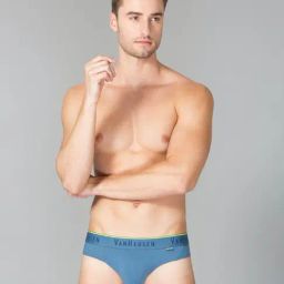 Van Heusen Innerwear Blue Regular Fit Briefs-picture-23