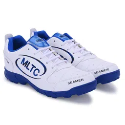 MLTC Colour Blocked Shoes - Blue & White-picture-36