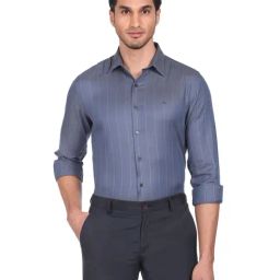 Arrow Blue Cotton Slim Fit Striped Shirt-picture-25