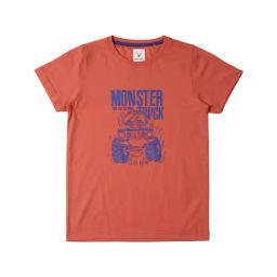 Allen Solly Junior Boys Rust Printed T-Shirt-picture-5