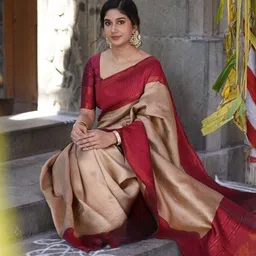 BlueRang Woven Design Zari Silk Blend Banarasi Saree With Blouse-picture-10