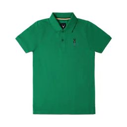 Allen Solly Junior Boys Green Solid Polo T-Shirt-image-1