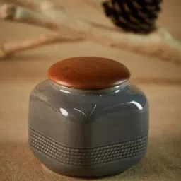 Fabindia Home 'Swayam' Grey & Brown Ceramic 10.5 cm Jar With Lid (0.5 L) - Set of 1-image-32