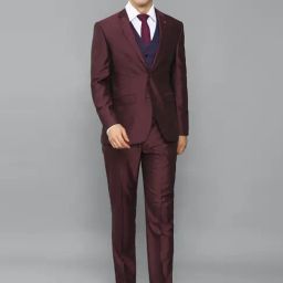 Allen Solly Maroon Slim Fit 3-Piece Suit-image-71