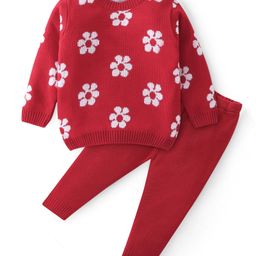 Babyhug Knit Full Sleeves Sweater Set With Floral Design - Red-image-24