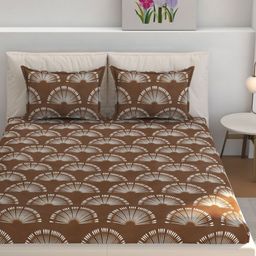 Florida Brown & White Floral 160 TC Queen Bedsheet with 2 Pillow Covers-36