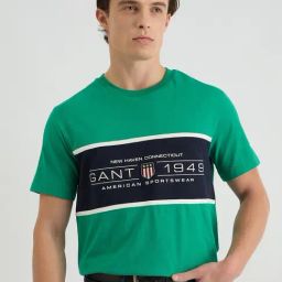 GANT Men Colourblocked Round Neck Cotton Green T-shirt-image-85