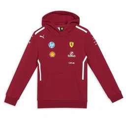 PUMA Motorsport Unisex Kids Printed Hooded Sweatshirt-image-64