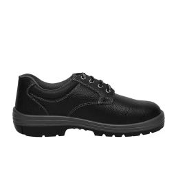 Allen Cooper Double Duty Safety Shoes Steel Toe Low Ankle PU Sole Size 12 UK/India Black, DD 7079-40