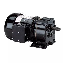 Dayton Parallel Single Output Shaft Split-Phase 60 RPM AC Gearmotor, 6K331-99