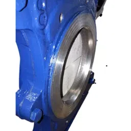 V V 2-1/2 Inch, 65 mm Cast Iron Pulp Valve V V-1022-image-79