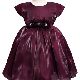 Babyhug Woven Cap Sleeves Party Dress With Floral Corsage Detailing - Wine-image-60
