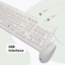 Zebronics Keyboard and Mouse Combo, Zeb-Judwaa 900 image 4