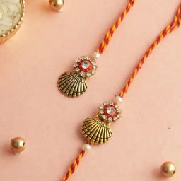 Aapno Rajasthan Golden Shell Bhaiya Bhabhi Rakhi-image-3