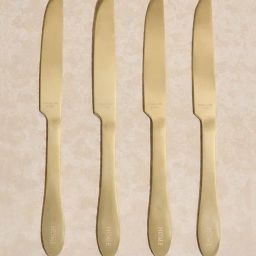Westside Home Gold Matte Table Knife (Set of 4)-38