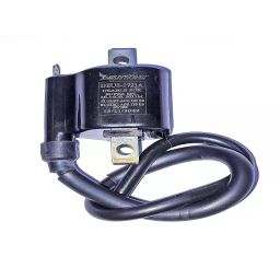 Deutsche Ignition Coil for Hero Super Splendor, Glamour (2011 Model), Suzuki Access 125 ES, Suzuki Access 125 ES, Swish, DEUS-1721A-20