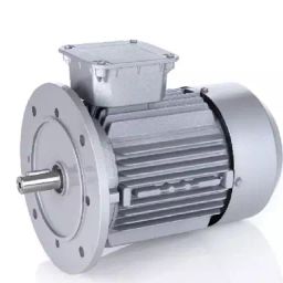 IMPEL 3 Phase 20 HP 2 Pole Flange Mounted AC Induction Motor IE3-image-55