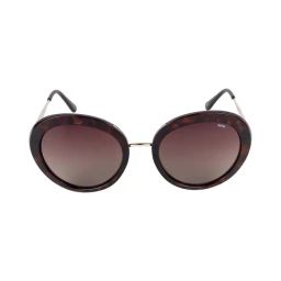INVU B1908B Brown Polarized Round Sunglasses-image-40