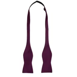 Alvaro Castagnino Purple Solid Bow Tie-picture-35