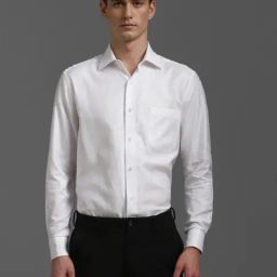 Louis Philippe White Cotton Regular Fit Shirt-picture-44