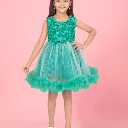 BAESD Net Fit & Flare Dress-picture-3