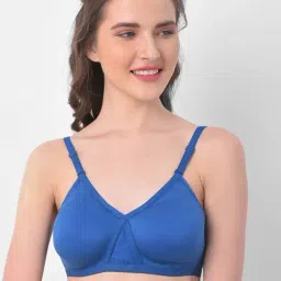 Clovia Blue Non Wired Non Padded T-Shirt Bra-picture-21