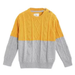 Cherry Crumble By Nitt Hyman Kids Mustard & Grey Self Design Sweater-image-96