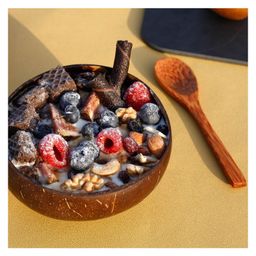 Thenga Coconut Bowl Shell With Spoon Eco Friendly and Toxin Free - Brown image 4