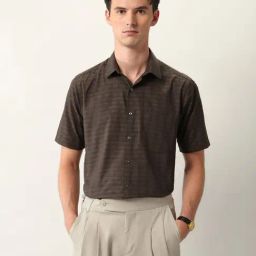 Arrow Brown Cotton Regular Fit Checks Shirt-picture-47