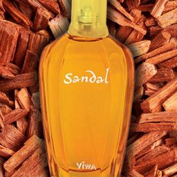 Viwa Sandal Long Lasting Eau De Parfum- 100 ml-16